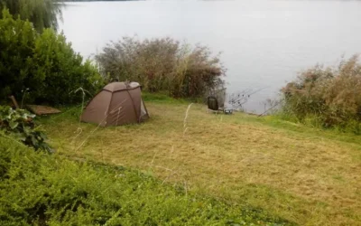 Pêche